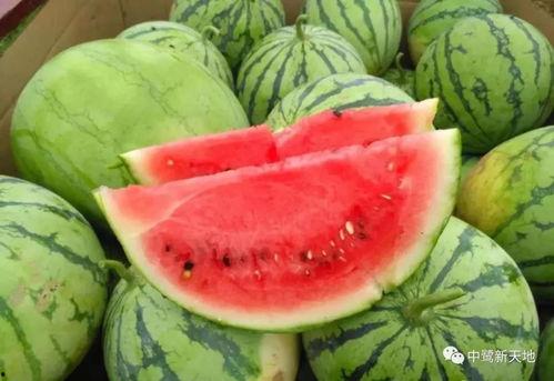 黑料吃瓜网apk普通安装 