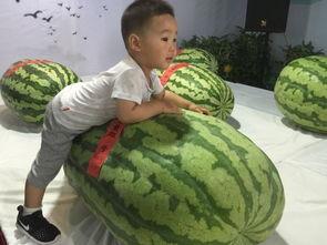 睢宁好职网 